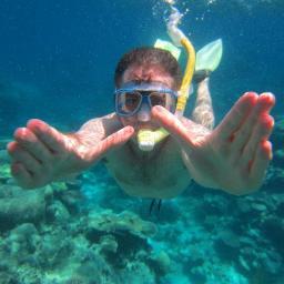 GamifyTrend's profile picture. A curator of knowledge - looking for the links between learning & development, psychology, social media and gamification