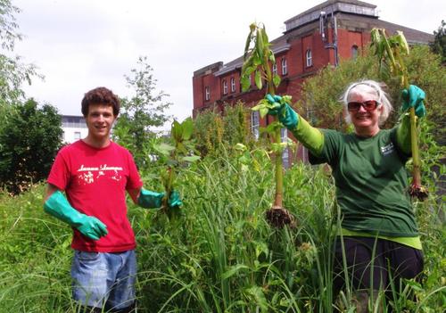 Join @Thames21 & partners for spruce up of the River Ravensbourne catchment, events take place in the Boros of Bromley,Croydon,Greenwich & Lewisham all welcome