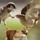 جوجو (@1960jjj) Twitter