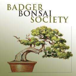 Promoting and Enjoying the Ancient Art of Bonsai Since 1972.
http://t.co/2FvlOyRx