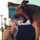 steven mclarty - @The_Swamp - Twitter