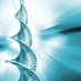 Progressive Breeders (@pbreeders) Twitter profile photo