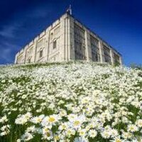 Events In Norwich (@norwichtimes) 's Twitter Profile