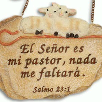 josearojasg2104's profile picture. 