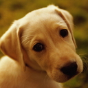 Debra Noble - @debranoble19 - Twitter