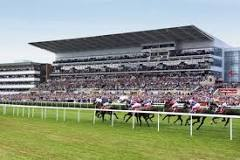 adayatdonnyraces - provide hospitality and days out at Doncaster Racecourse - From Tickets to Executive Boxes - Best deals guaranteed - Horse racing for all!!