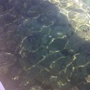 faye cummins - @faye2409 - Twitter