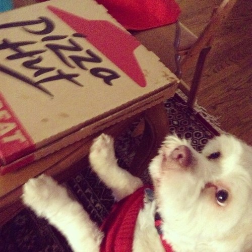 cecilove93's profile picture. 