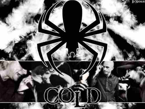 docrules1986's profile picture. 