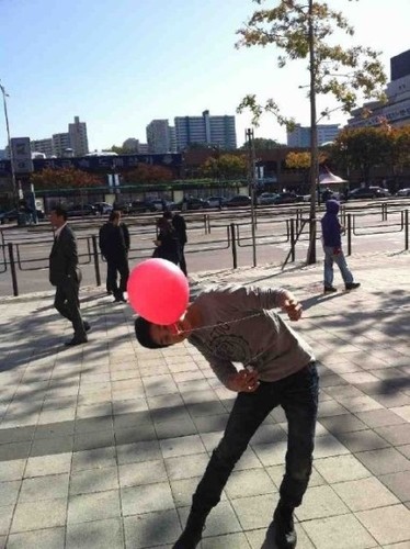 98/븉,늘품(최우식)