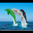 ♡ツآسامه آلحريريツ♡ (@11usam2a) Twitter