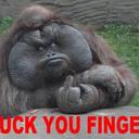 Timothy Stowe - @Bull101Ga - Twitter