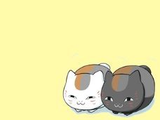ボソボソいってます。ポンクエ大好きです。息子2人とまったり暮らし。次男はＢ型作業所へ通所してます。ＧＸＥ10サビにも増税にも負けず大事にしてます。更年期で不調続きです。いいねつけがちです。にゃんこ大戦争楽しいです。下手ですが毎日遊んでます。23年来バセドウ病でしたが 令和3年6/30に甲状腺全摘手術。