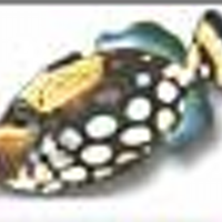 Aquarium Knoxville (@aquariumknox) 's Twitter Profile