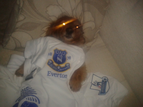 Loves everton fc, likes f1,boxing,rugby & most sports, jokes, socializing, Nil satis nisi optimum.COYB