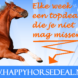 De beste paarden en ruitersport deals voor paard, pony, stal en ruiter. De beste ruitersport artikelen met hoge korting.http://t.co/1zhn2zTU