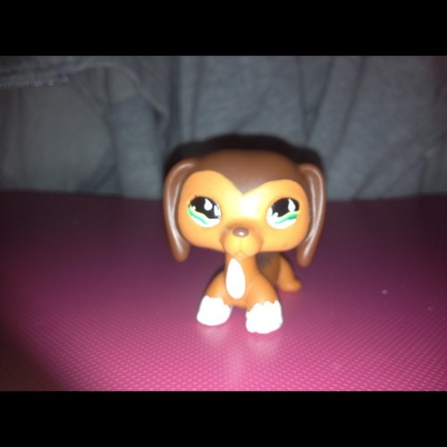 SavannahTheReal's profile picture. Hey girl!
I'm the real Savvy ever you see!HOPE YOU LIKE BE MY FRIEND!