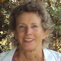 winkie williamson (@winkieintunisia) 's Twitter Profile