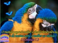 euamoaipda's profile picture. 