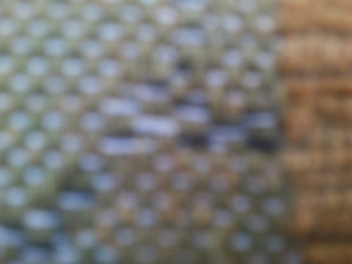 sc_cit's profile picture. 