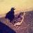 JulieCBaird's profile image
