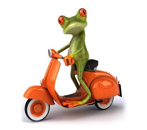 Carpe Diem
That's all Folks!!!