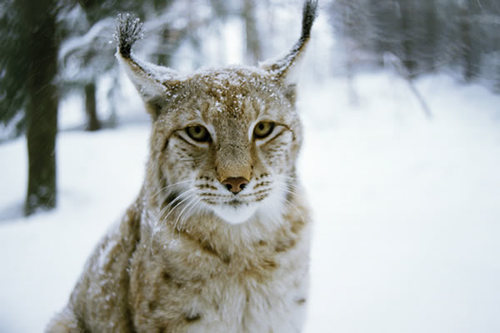 Kai8780's profile picture. 