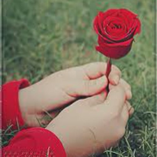 I am simple looking for the perfect ................ محبه للخير ...............