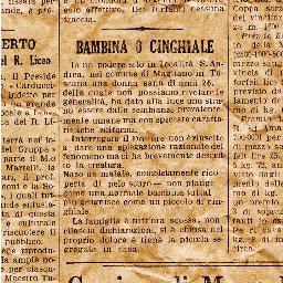 moiricci's profile picture. 