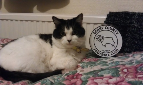 just like Derby County, I'm black en white.