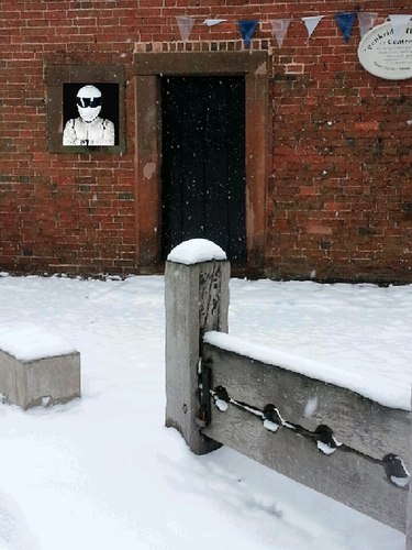 Loves the disguise.