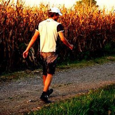 Stefano Vaccari (stefano_vaccari) Twitter