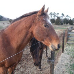 Following all eq anons! 


http://t.co/ghMdzDL7xJ