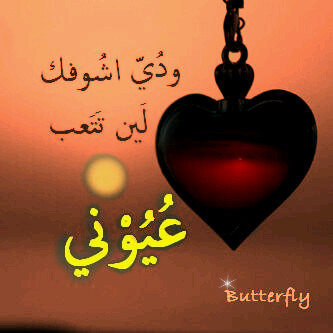 PIN:23453B69