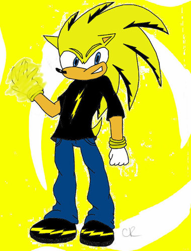 Hi I'm bolt a 16 year old hedgehog who loves to defend his family and friends and others