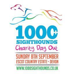 Bringing UK Sighthound Rescue Charities together to set a fun unofficial record for the largest dog walk to raise funds, awareness and rehome some dogs.