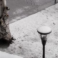 fernandomys (@fernandomys) 's Twitter Profile
