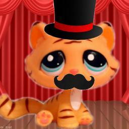 My real name is Wyatt... I'm a boy... 14 years old... I have an LPS passion, and a coll sense of fashion! My favourite animal? Porcupine :D Just Saying :)