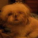 sheila daly - @sheilacroft71 - Twitter