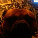 robert rigby - @rigby_robert - Twitter