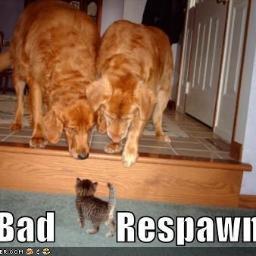 DuarteGois1's profile picture. 