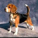 Bruce Meyers - @superbruce1973 - Twitter