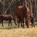 Kelley Henry - @khenry17 - Twitter