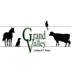 Our friendly team of veterinary healthcare professionals believes in providing quality and affordable care for all animals great and small.