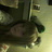 Profile Picture of Alice Oates (@@alioates7457) on Twitter