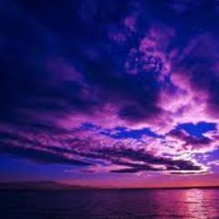 jingridq's profile picture. 