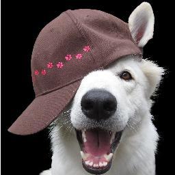 Aura´s spullen voor honden is een webwinkel voor honden en hun baasjes.
Ontwerp zelf een leuke gepersonifieerde spullen voor je hond of voor jezelf ;-)