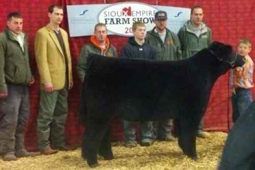 BrookeWiss's profile picture. 