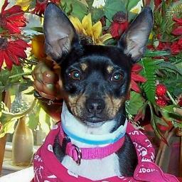 robsattic's profile picture. 