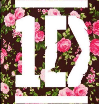 Follow for a follow back adores one direction :)